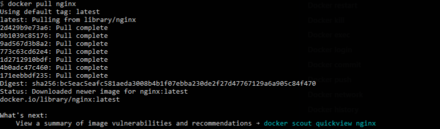 docker pull nginx