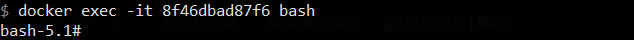 docker exec -it <container_id> bash
